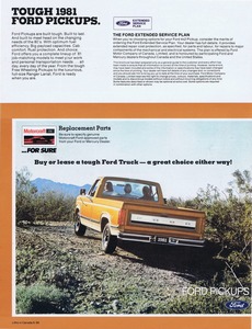 1981 Ford Pickup (Cdn)-20.jpg